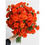 Orange spray rose